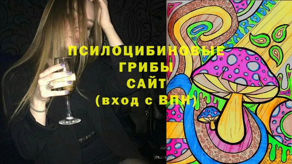 бошки Алексин